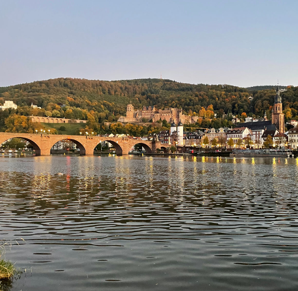Heidelberg am Necker - Über uns, wir sind rebtsoft